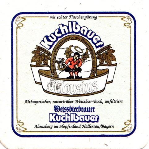 abensberg keh-by kuchl quad 4b (quad-aloysius-hg hellblau)